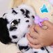 Інтерактивна іграшка Baby Paws – Цуценя далматин Спотті 918276IM