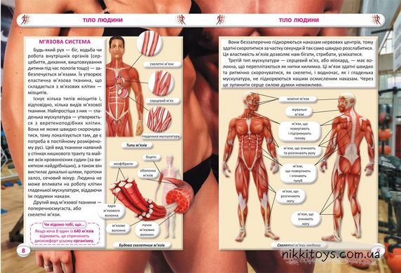 Усе про тіло людини. 1000 цікавих фактів. Котка А