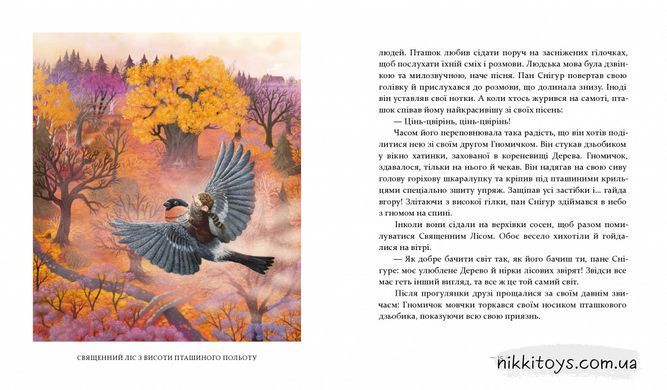 Книга Рождественские рассказы о гноме и видимых и невидимых лесных обитателях Бернадетта Бородзюк