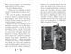 Очаровательная обувь от Лилли. Книга 3 На крыльях грез. Уш Лун