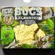 Креативна творчість для проведення розкопок "BUGS EXCAVATION" жуки укр 4823102812649