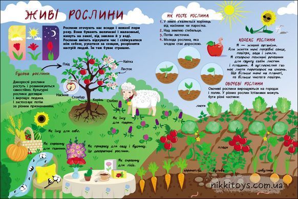 Таємне життя рослин.  Коваль Н. Серія: Книжки для розумак