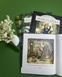 Книга Гектор Лис. У пошуках велетня. Книга 1 Астрід Шекелс