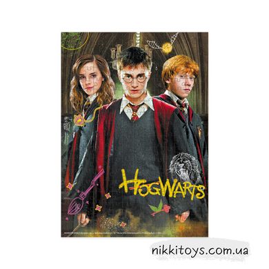 Пазл "Harry Potter. Гаррі та друзі" 250 ел 200498
