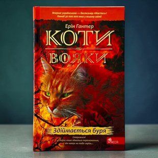 Кошки-воины. Книга 4. Надвигается буря (твердый переплет) Эрин Хантер