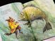 Книга Морской пес Астрид Шекелс