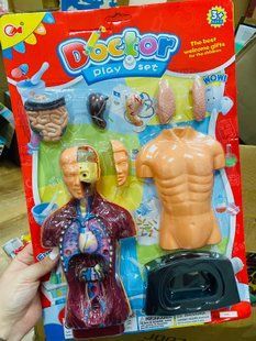 Игровой набор Доктора "Анатомия"