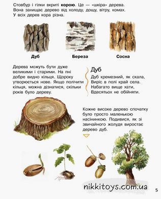 Лес. Энциклопедия дошкольника Каспарова Ю (укр)