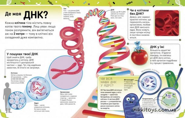 Надзвичайні ДНК. Шалені гени, незламні кодони, верткі хромосоми Елісон Вуллард