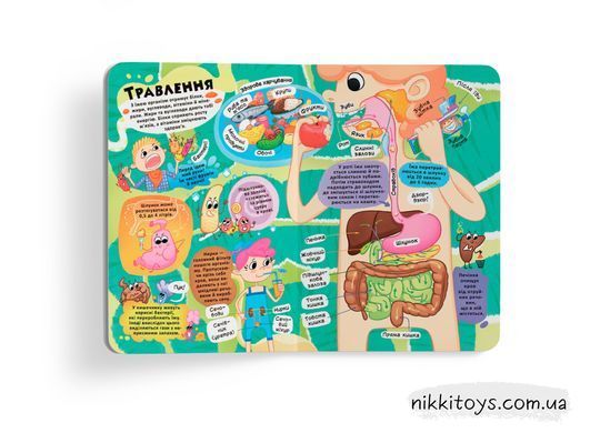 Книга с секретными окошками. Все о твоем теле