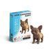 3D пазл Конструктор Картонний Cartonic Chihuahua puppy  Цуценя Чихуахуа 71 деталь