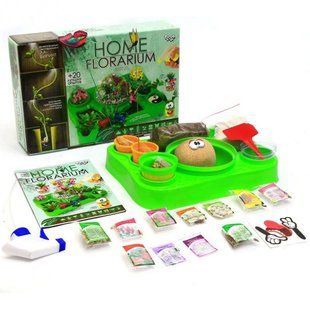 Набор для выращивания растений Home Florarium 4820186079876