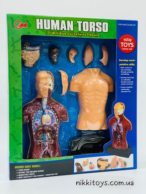 Детский набор "Анатомия человеческого тела"