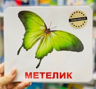 Картки Домана &ldquo;Мої перші знання&rdquo; українською ЛАМІНАЦІЯ