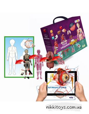 4D Розвиваюча гра-набір для дітей «Анатомія людини» оживає за допомогою доповненої реальності