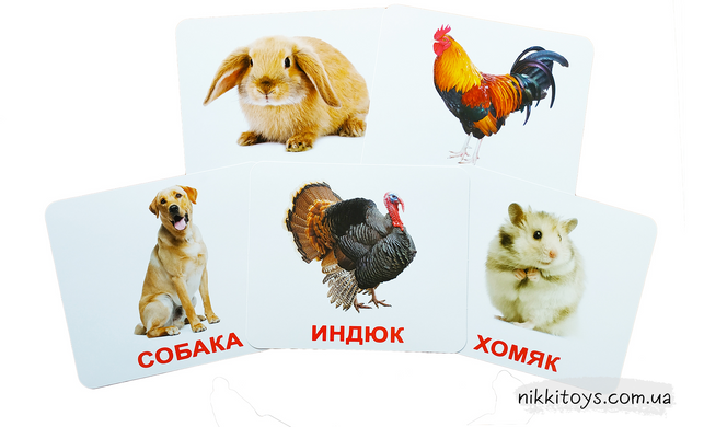 Ламинированные карточки Домана “Домашние животные” на рус.