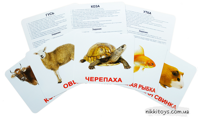 Ламіновані картки Домана "Домашні тварини" на рус.