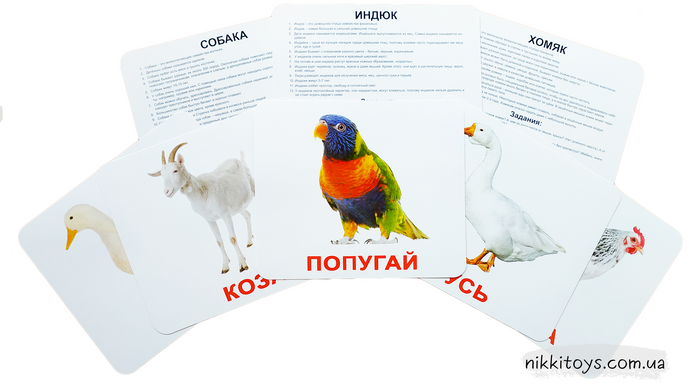 Ламинированные карточки Домана “Домашние животные” на рус.
