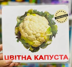 Ламинированные карточки  Домана “Овочі” українською