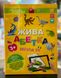 4D Інтерактивний набір «Жива Абетка» на магнітах з доповненю реальностю