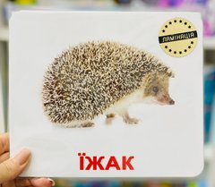 Ламинированные карточки Домана “Дикі тварини” українською