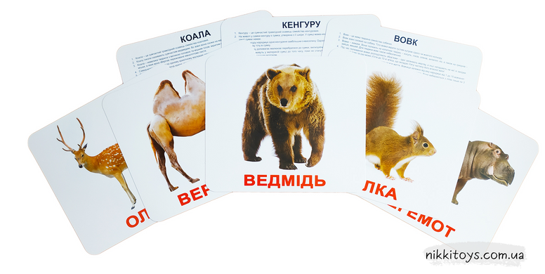 Ламіновані картки Домана “Дикі тварини” українською
